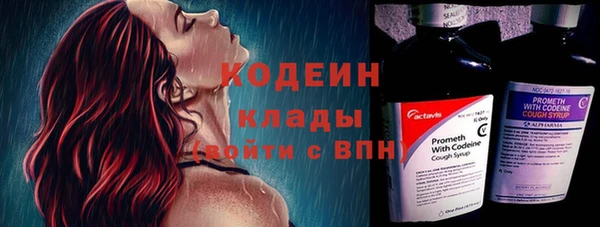 твердый Богородск