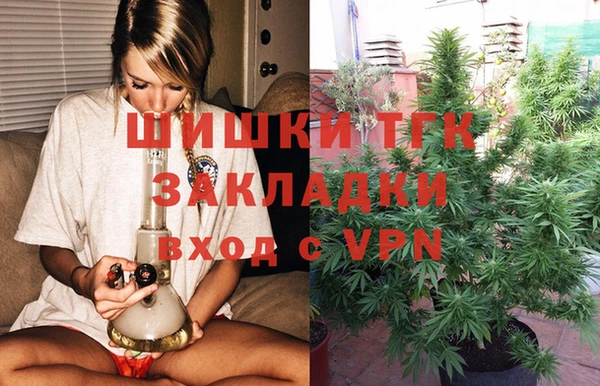 твердый Богородск