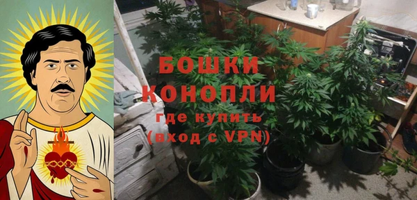 СК Богданович