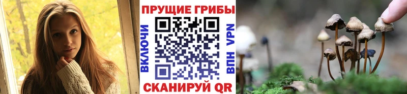 Псилоцибиновые грибы ЛСД Южно-Сухокумск