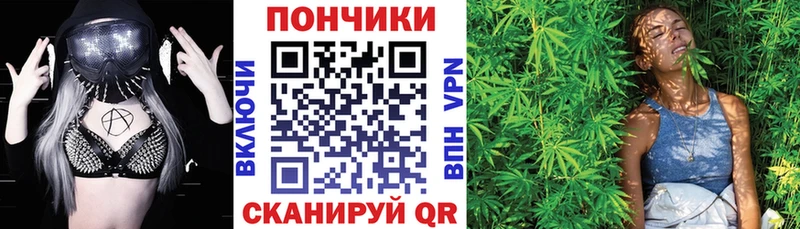 Канабис сатива  где можно купить   Южно-Сухокумск 